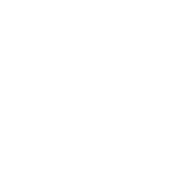 Performance and Risk